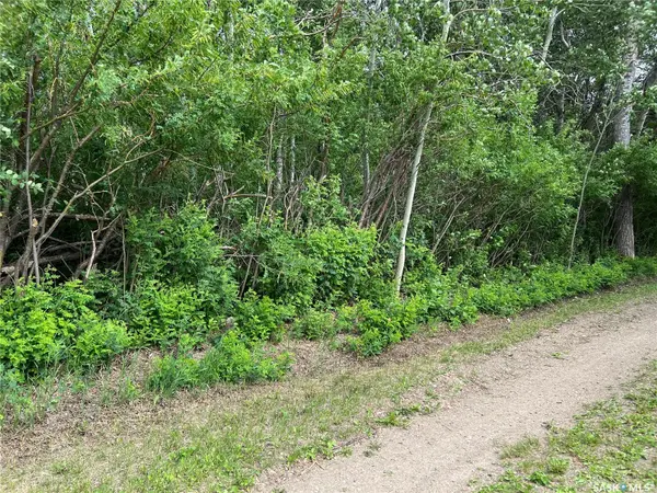 327 Windsor AVENUE, Porcupine Plain, SK S0E 1H0