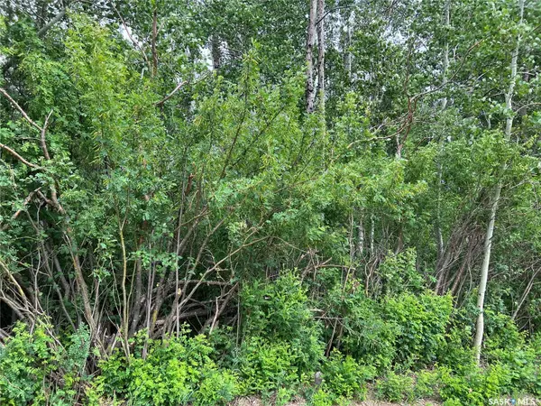 327 Windsor AVENUE, Porcupine Plain, SK S0E 1H0