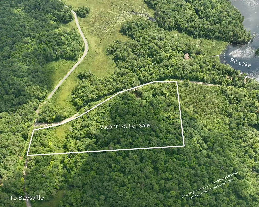 0000 Ril lake RD S, Lake Of Bays, ON P0B 1A0