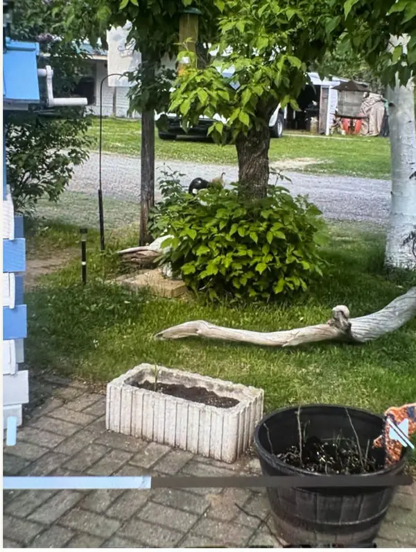 Lot 11 Old Mill RD, Timmins, ON P0M 1T0