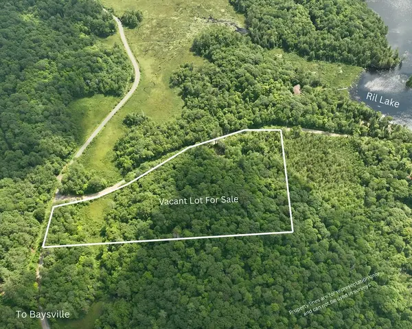 0000 Ril lake RD S, Lake Of Bays, ON P0B 1A0