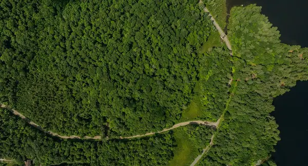 0000 Ril lake RD S, Lake Of Bays, ON P0B 1A0