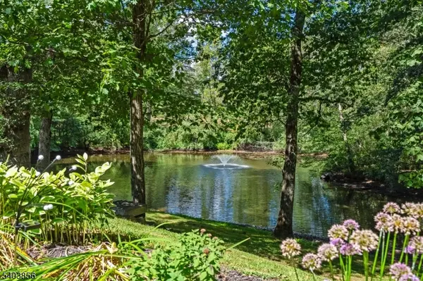 101 Sunnybranch Rd, Far Hills Boro, NJ 07931