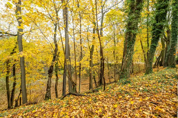 1298 Colfax AVE, St. Joseph Twp, MI 49022