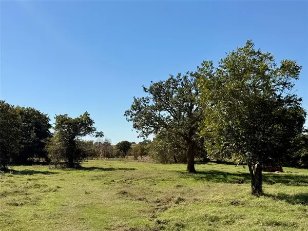 2753 Big Tree Road, Montague, TX 76251