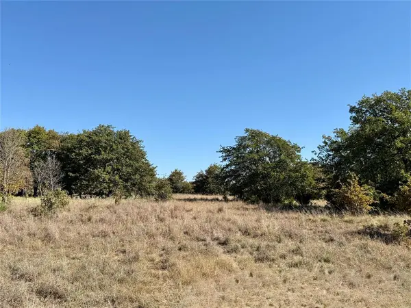2753 Big Tree Road, Montague, TX 76251