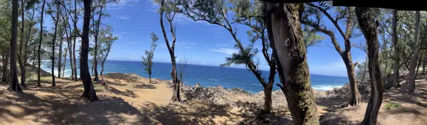 45-5060 NANAINA KAI ROAD, Honokaa, HI 96727