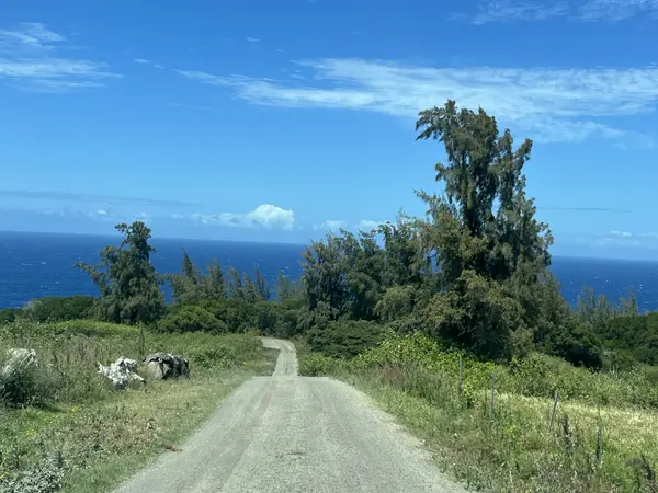 45-5060 NANAINA KAI ROAD, Honokaa, HI 96727