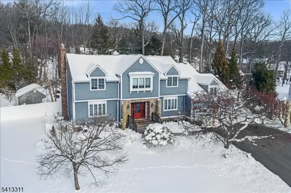 10 Cedar Run, Hanover Twp., NJ 07950