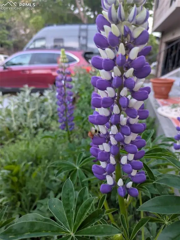 6255 Pemberton WAY, Colorado Springs, CO 80919