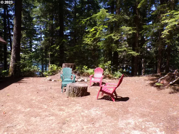 Cougar, WA 98616,Cabin 44 Northwoods