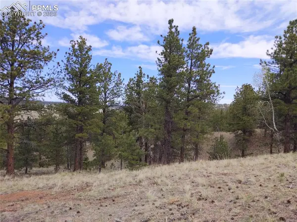 28 Pinnacle CIR, Florissant, CO 80816