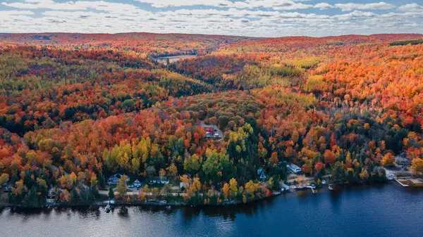 43 LAKESHORE DR, Hastings Highlands, ON K0J 1L0