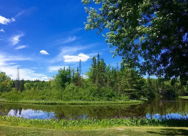 49 Maple ST, Seguin, ON P0C 1J0