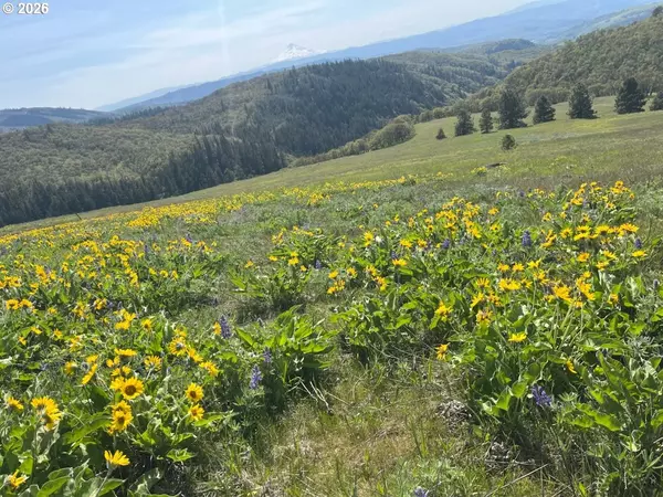 Lyle, WA 98635,60 HARTWIG RD