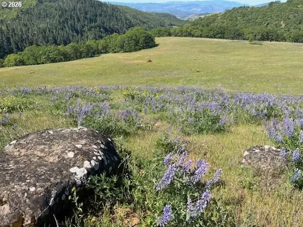 Lyle, WA 98635,60 HARTWIG RD