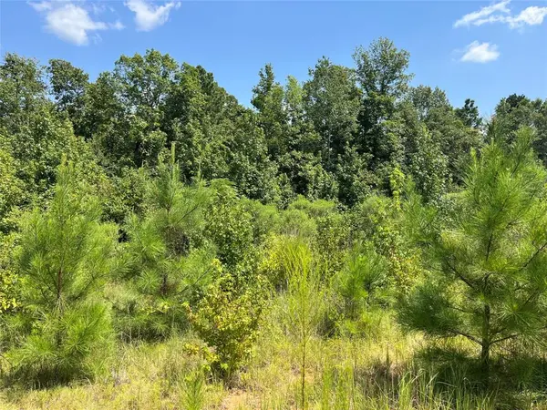 0 Ellis Jones Road,  Bienville,  LA 71008