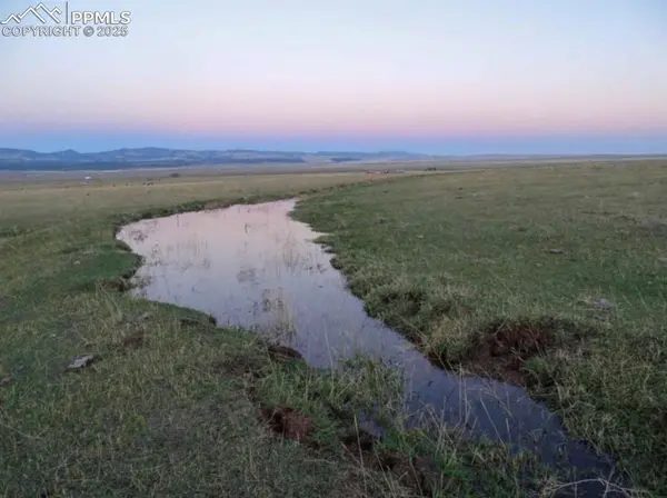 Lot 2 County Road 119, Westcliffe, CO 81252