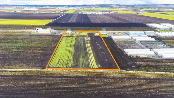 144 Fraser ST, Bradford West Gwillimbury, ON L3Z 3Y8