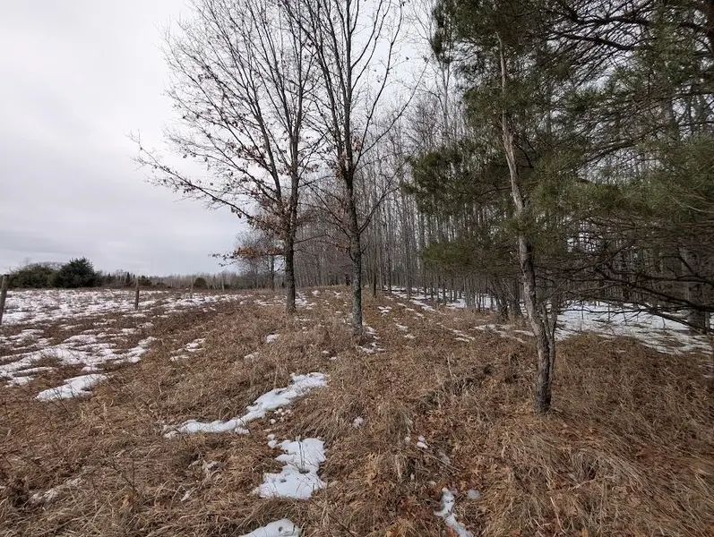 2370 S Coville RD, Greenbush Twp, MI 48745