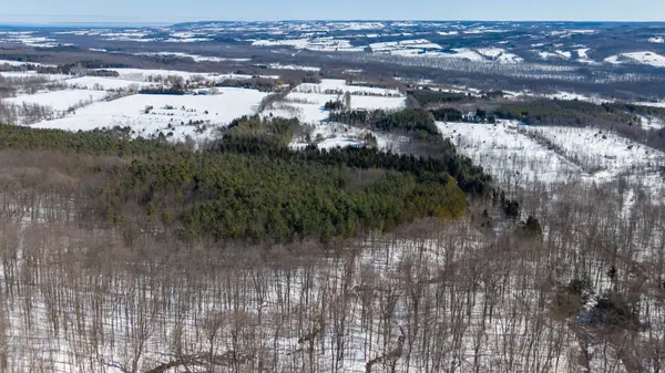 195908 Grey Road 7 RD S, Grey Highlands, ON N0C 1G0