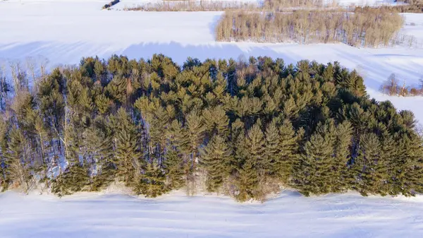 90654 Gilmore Line, Morris Turnberry, ON N0G 2W0