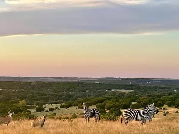 Tract 2 County Road 208, Lampasas, TX 76550