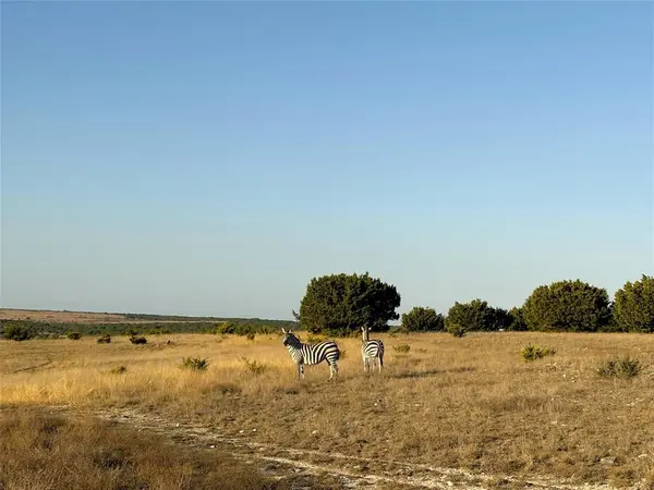 Tract 2 County Road 208, Lampasas, TX 76550