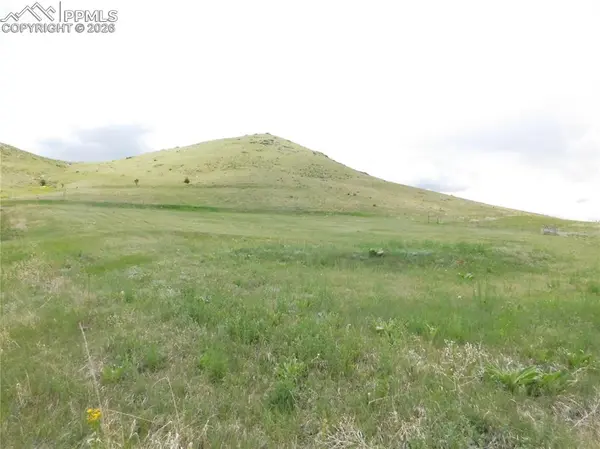 11972 Haskel Creek RD, Larkspur, CO 80118