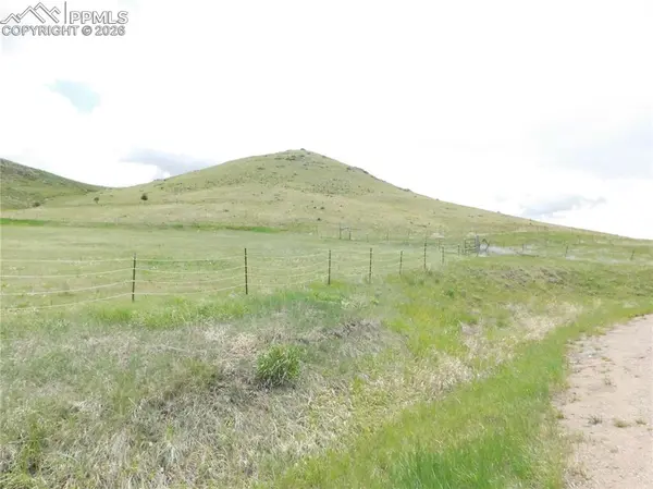 11972 Haskel Creek RD, Larkspur, CO 80118