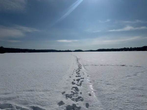 3105 Highway 520 HWY, Magnetawan, ON P0A 1P0