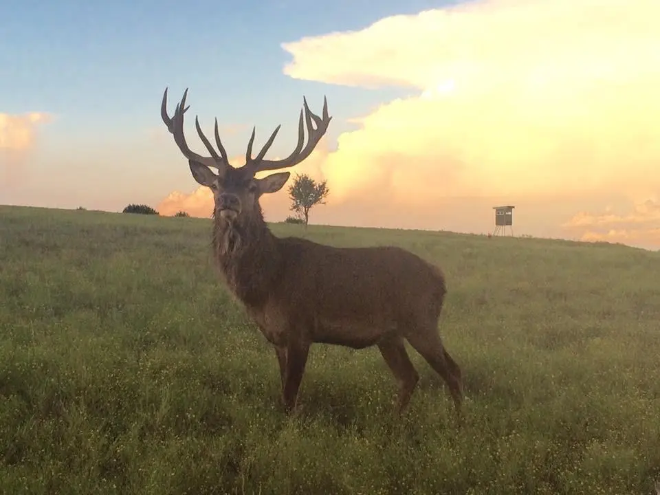 Tract 1 County Road 208, Lampasas, TX 76550