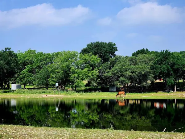 6101 CR 208, Lampasas, TX 76550