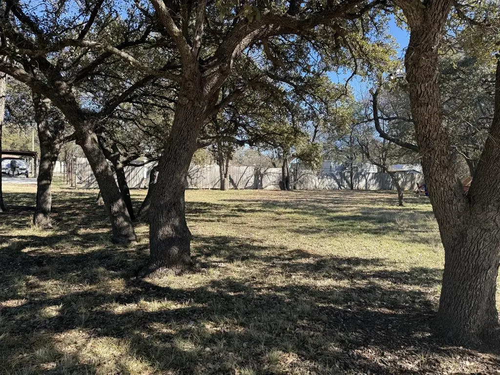 TBD Lot 230 Bounding Main Dr Drive, May, TX 76857