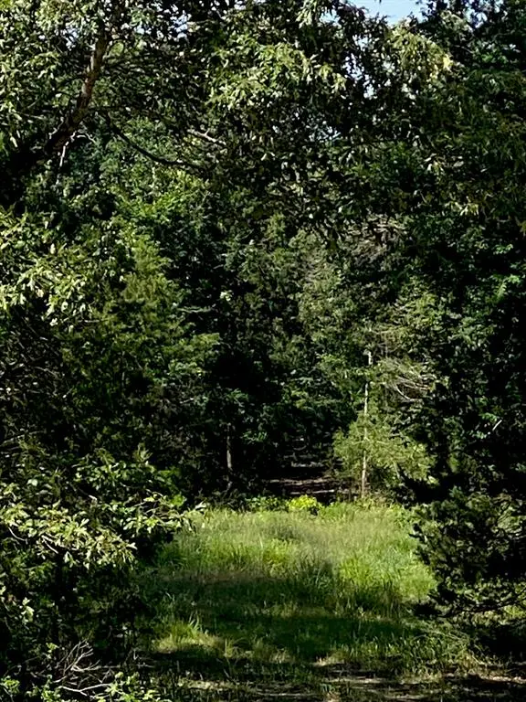 TBD 14 FM 1848, Buffalo, TX 75831