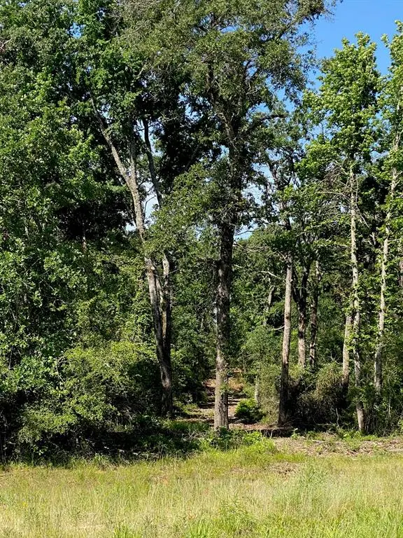 TBD 14 FM 1848, Buffalo, TX 75831