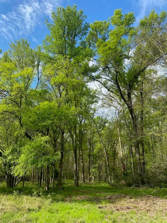 TBD 12 FM 1848, Buffalo, TX 75831