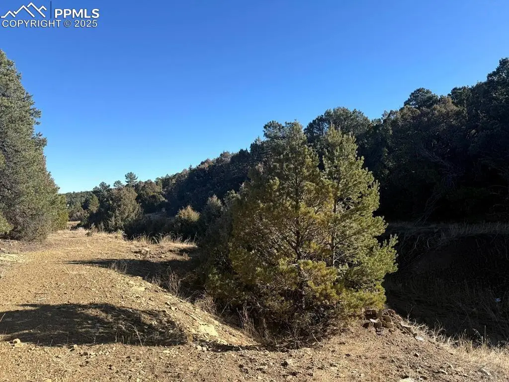 8100 La Belle TRL, Trinidad, CO 81082