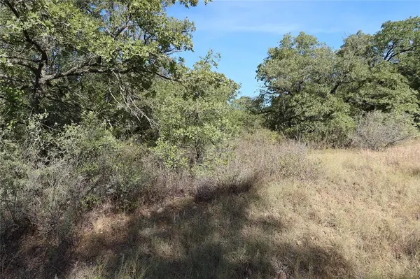 TBD Pecan, Bowie, TX 76230