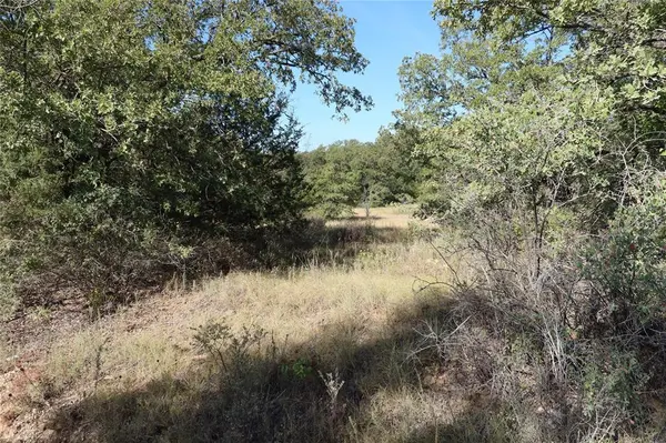 TBD Pecan, Bowie, TX 76230