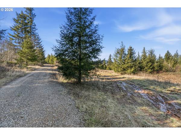 22310 NE DOLE VALLEY RD, Yacolt, WA 98675
