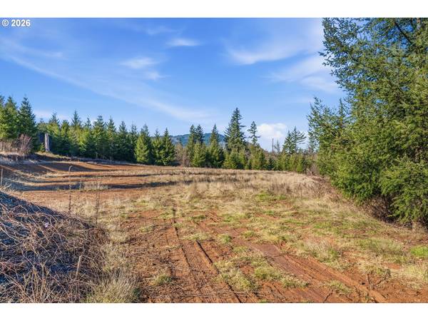 22310 NE DOLE VALLEY RD, Yacolt, WA 98675