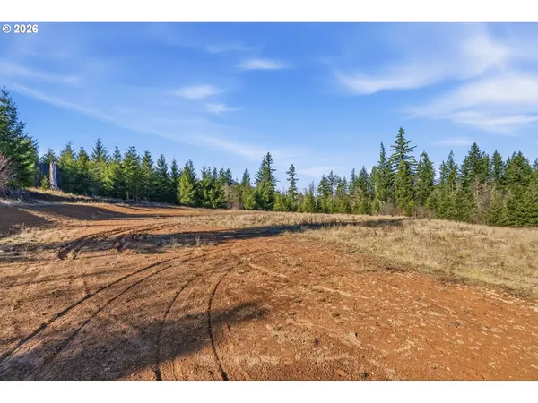 22310 NE DOLE VALLEY RD, Yacolt, WA 98675