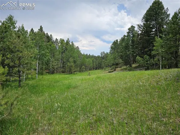 1694 County Road 512, Divide, CO 80814