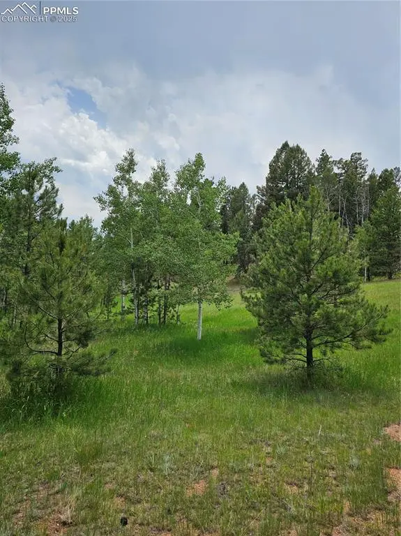 1694 County Road 512, Divide, CO 80814