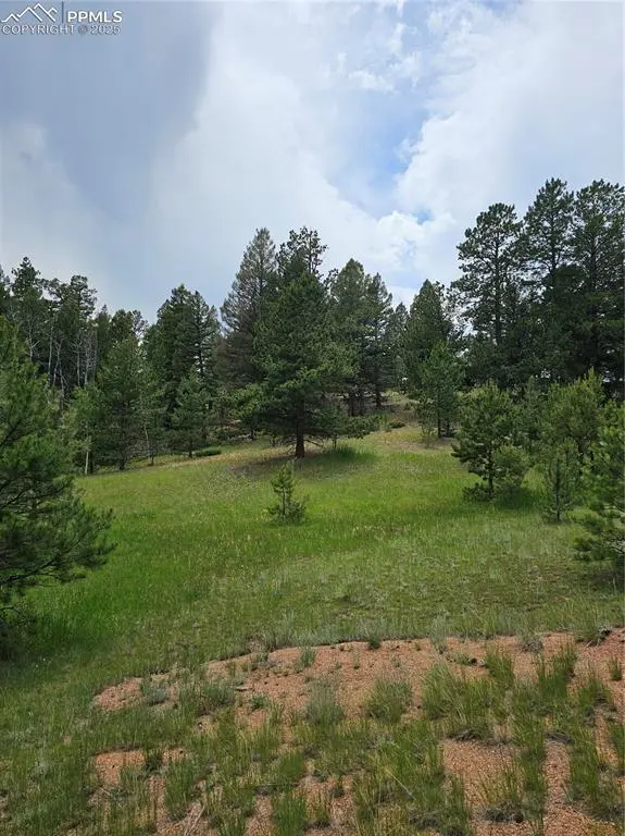 1694 County Road 512, Divide, CO 80814