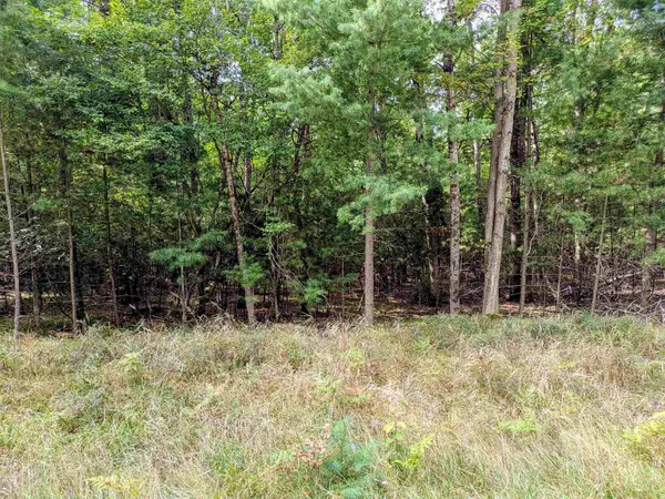 Buffalo TRL, Moffatt Twp, MI 48610