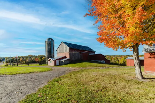 1478 County 23 RD, Alnwick/haldimand, ON K0K 2G0