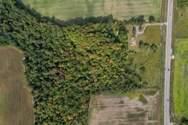 8584 Trafalgar RD, Halton Hills, ON L7G 4S5