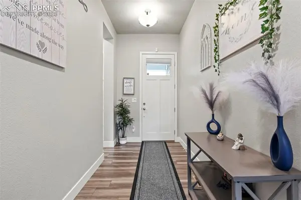 6698 Enclave Vista LOOP, Colorado Springs, CO 80924